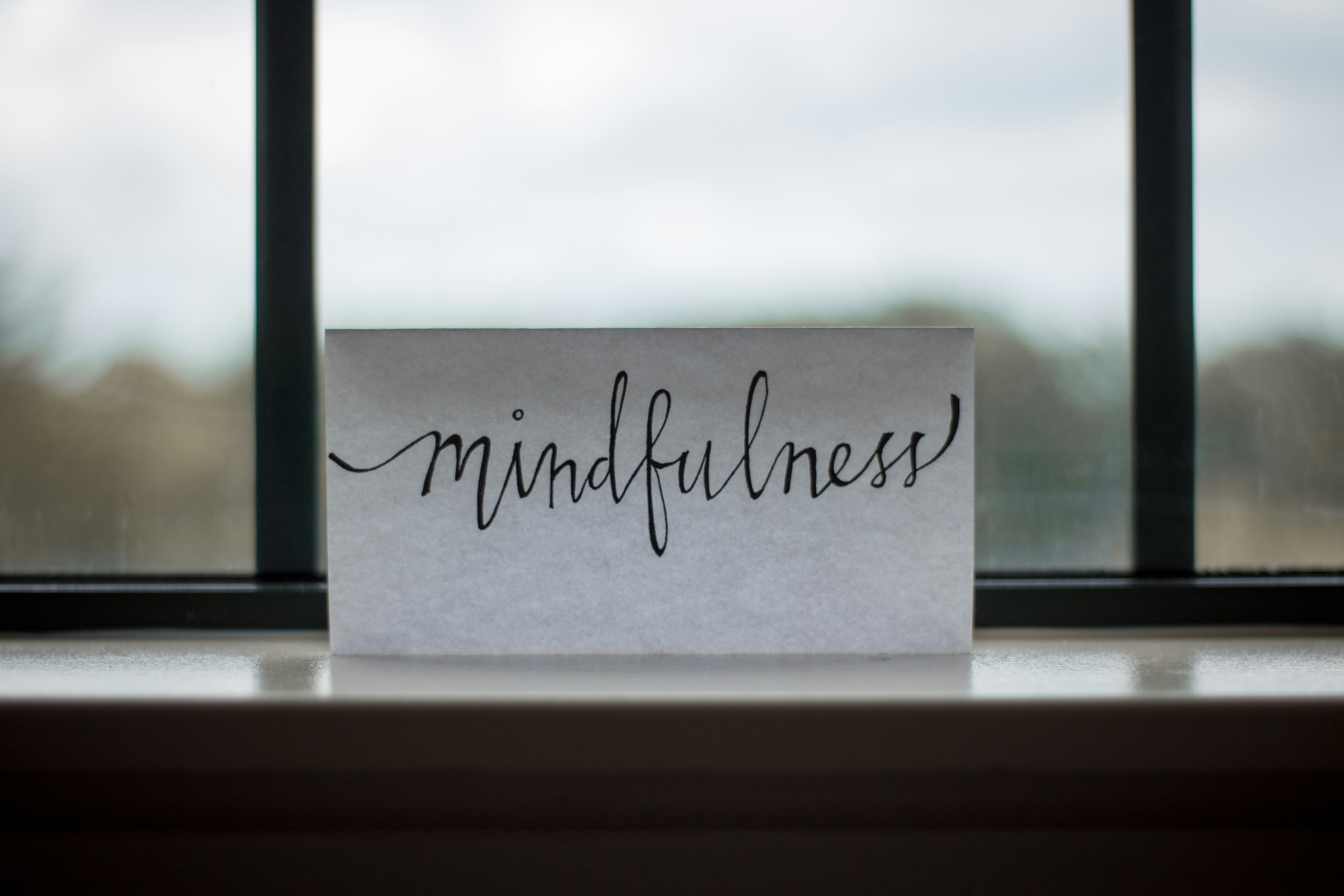 Fostering Resilience Through Transformation for Career Success